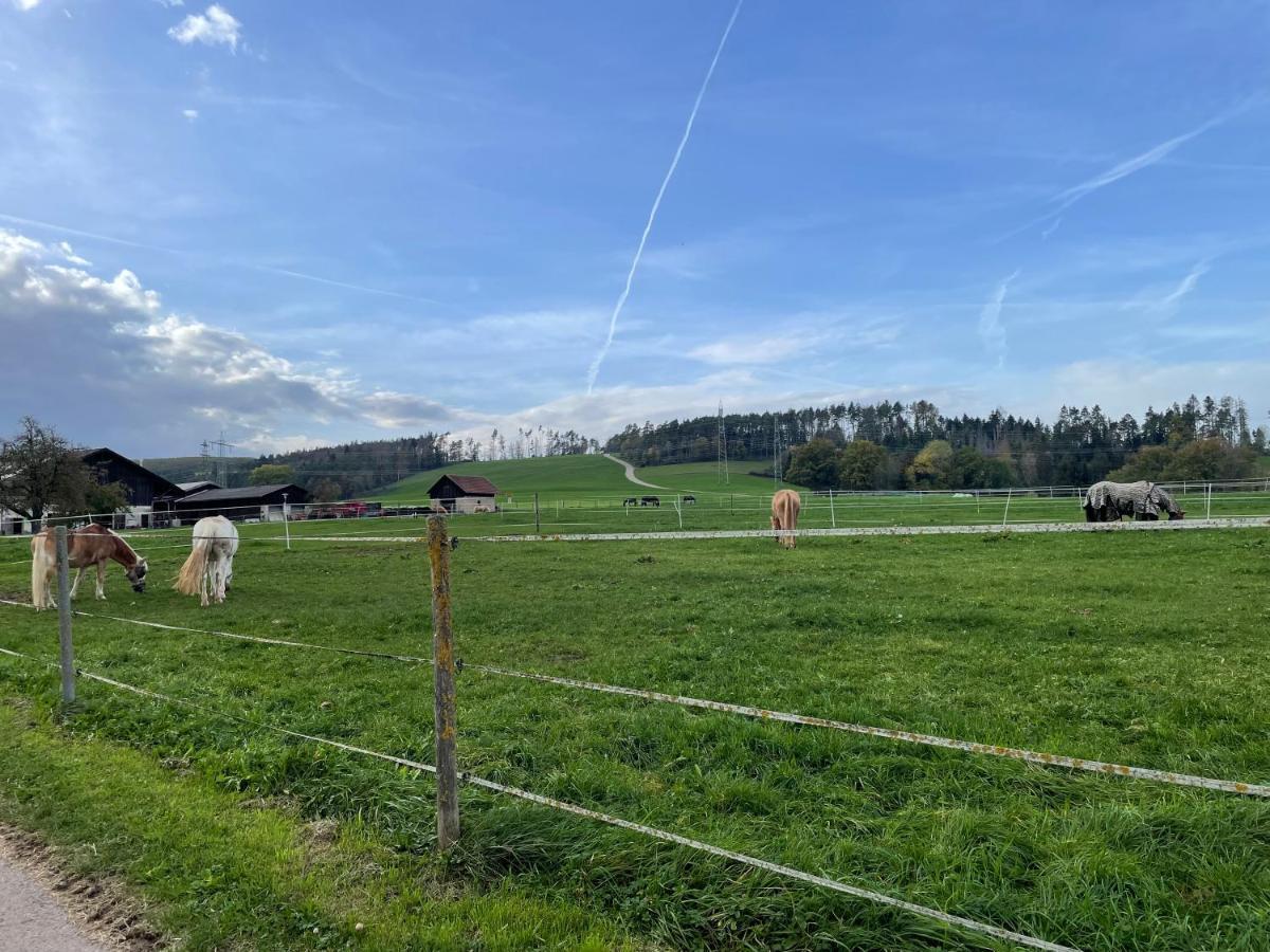 Ferien Im Schwarzwald - Ruhe & Naturverbunden Weilheim Dış mekan fotoğraf