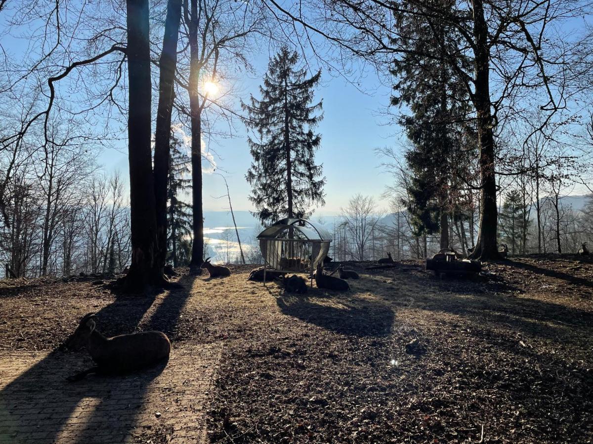 Ferien Im Schwarzwald - Ruhe & Naturverbunden Weilheim Dış mekan fotoğraf