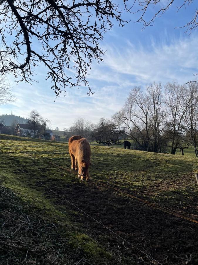 Ferien Im Schwarzwald - Ruhe & Naturverbunden Weilheim Dış mekan fotoğraf